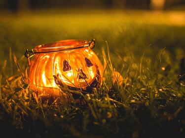 Halloween lantern on grass