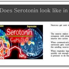 Info Graphic about "what does Serotonin look like in the brain"
